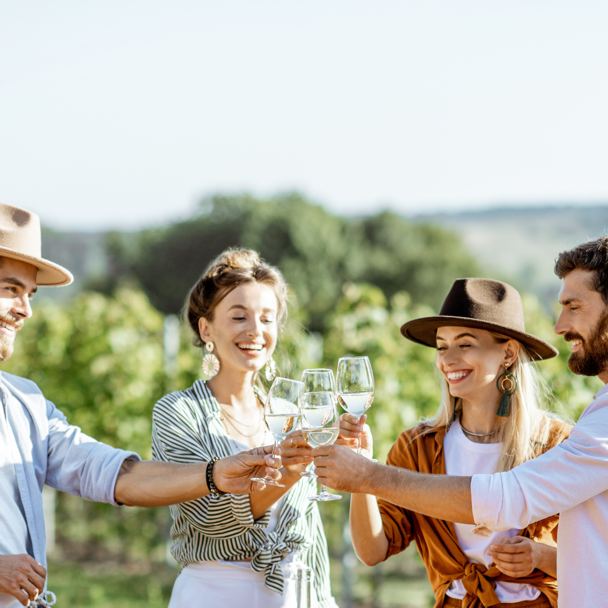 group wine tastting 