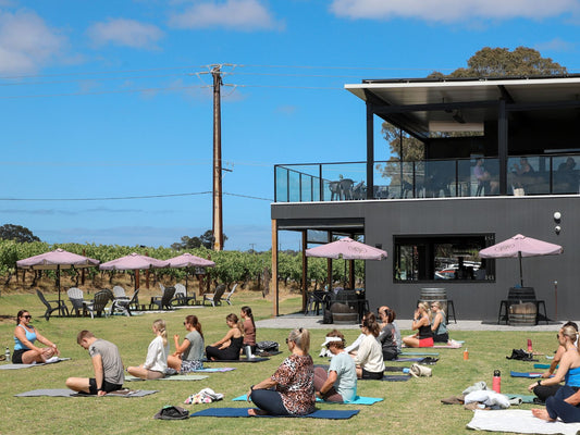 A group of people practicing Pilates on the grassy lawn at Haselgrove Wines, surrounded by lush vineyard views and blue skies.