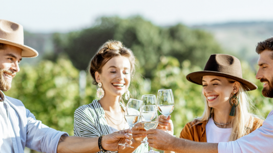 Summer Sippers: Top 6 Wines to drink